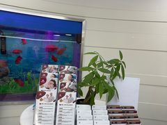 -雅悦齿科(顾村公园店)