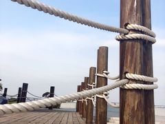 -大湾区中央湿地公园