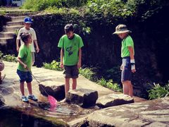 -素山寺森林公园