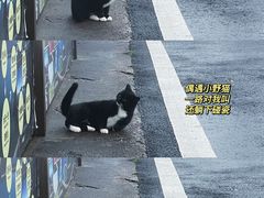 -江南天池