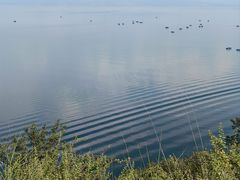 -抚仙湖禄充风景区