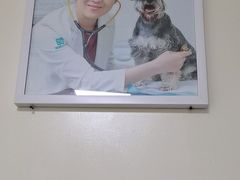 -美联众合动物医院·24h转诊中心