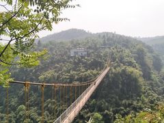 -川西竹海景区