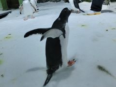 -凯莉-塔尔敦海洋生物水族馆