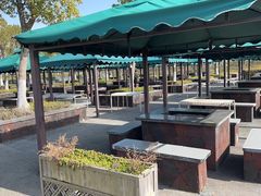 -春花秋色城市公园