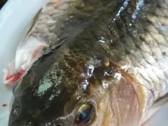 -悠悠美食