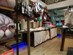 -猫咪博物馆(顶澳仔猫街店)