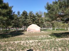 -大兴滨河森林公园