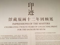 -北京大学赛克勒考古与艺术博物馆
