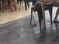 -望湖烤鱼