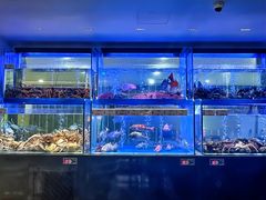 -南海渔村(珠江新城店)
