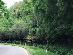 -铁山坪森林公园