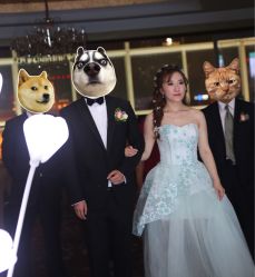 -韩国天使嫁衣婚纱礼服馆(上海旗舰店)