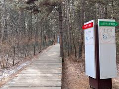 -帽儿山国家森林公园