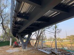 -王借岗森林公园