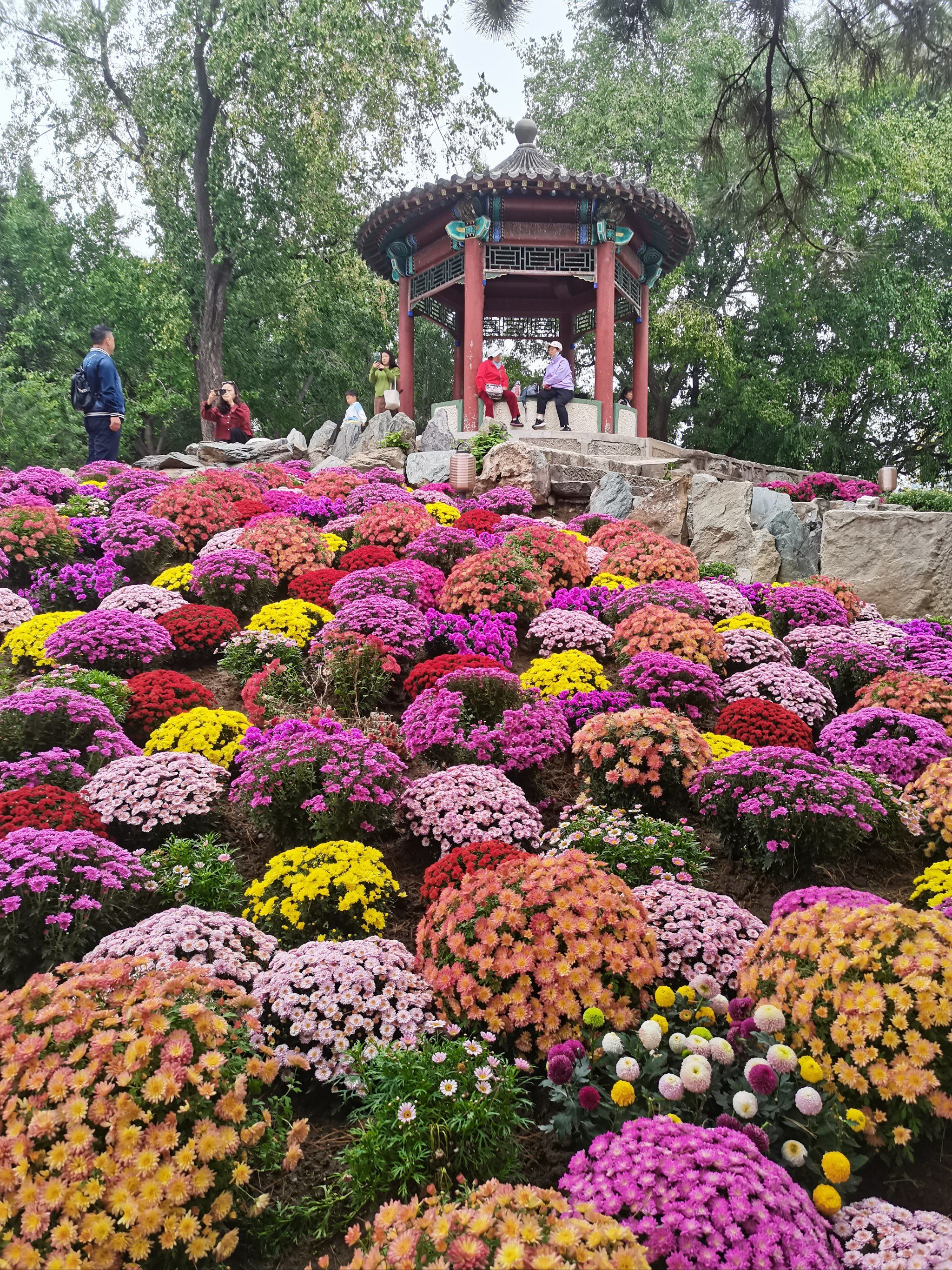 百花争艳的小世界