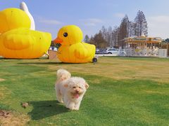 -太阳岛旅游度假区