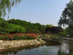 -东升八家郊野公园