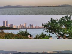 -深圳湾公园(南山区)