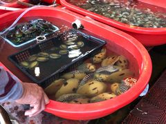 -芦潮港集贸市场