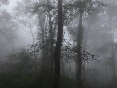 -武当山风景区
