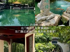 -老板恋上鱼(恒隆广场店)