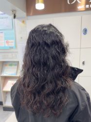 -镁连社·美联社
