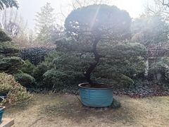 -水绘园