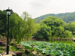 -灵岩山风景区
