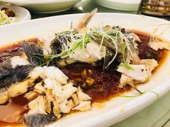 -同济大酒店(绿宝广场店)