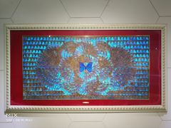 -上海昆虫博物馆