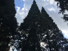 -宝岩生态观光园