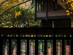 -中国茶叶博物馆(双峰馆区)