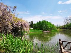 -东平国家森林公园