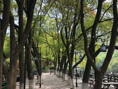 -白马涧龙池景区