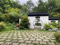 -上海共青森林公园