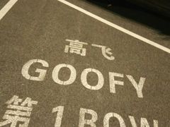 -迪士尼乐园停车场