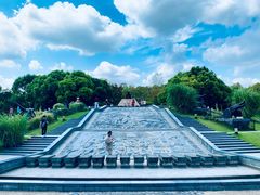 -上海吴淞炮台湾国家湿地公园