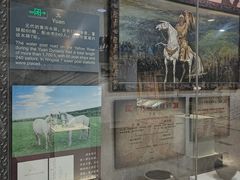 -宁夏邮政博物馆