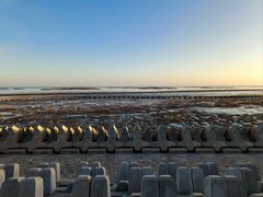 -南汇嘴观海公园