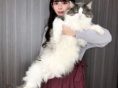 -美迦爱-牙专科·兔科·骨科诊疗中心(北苑店)
