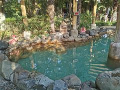 -张家港金凤凰度假村温泉