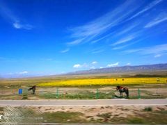 -青海湖国家重点风景名胜区