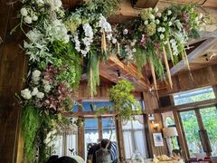 -一棵树·意大利西餐厅One Tree(新城店)