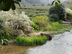 -中国茶叶博物馆(双峰馆区)