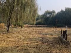 -北坞公园