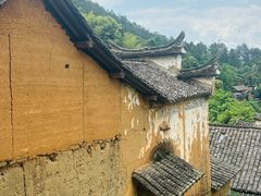 -杨家堂村