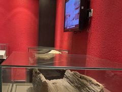 -南越王博物院(王宫展区)