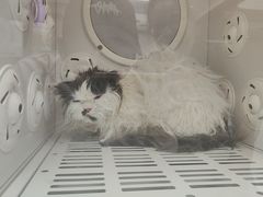 -FAELING PETS美天灵宠物(合生汇店)