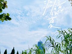 -郑东新区湿地公园